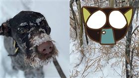  （圖／翻攝自banjo_gwp IG）