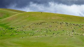 雙11,包裹,內蒙古,哈爾濱,哈密街,轉運（圖／翻攝自Pixabay）