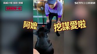 阿嬤揪散步　米克斯竟烙「台語」回絕