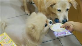 台彩「用愛串連 美好所在」暖影音發表記者會　（圖／翻攝自YouTube-台灣彩券頻道）