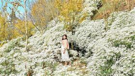 ▲（圖／翻攝自台灣旅行趣）