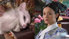 甄嬛。（圖／翻攝自後宮甄嬛傳微博）