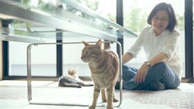 蔡英文（翻攝自蔡英文臉書）