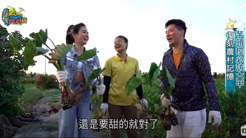 到葡萄園體驗異國風情！