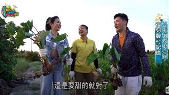 到葡萄園體驗異國風情！