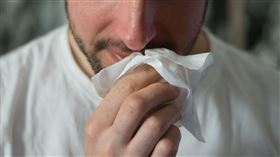 鼻子 鼻孔(圖／翻攝自Pixabay)