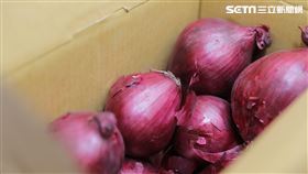  0501 指揮中心提供 CDC 洋蔥 大西瓜

中央流行疫情指揮中心 張上淳 專家諮詢小組召集人
中央流行疫情指揮中心 陳時中 指揮官
中央流行疫情指揮中心 陳宗彥 副指揮官

中央流行疫情指揮中心 莊人祥 發言人
中央流行疫情指揮中心 周志浩 疫情監測組組長