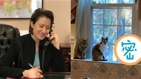 蕭美琴(組合圖/翻攝自推特)