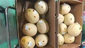 超市的13顆哈蜜瓜通通被人戳洞。（圖／翻攝自釧路市警局推特）