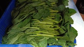 109年10月生鮮蔬果殘留農藥抽驗結果(圖／北市衛生局提供)
