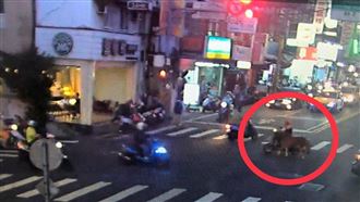 他騎車「遛馬」逛大街　網驚增馬力？