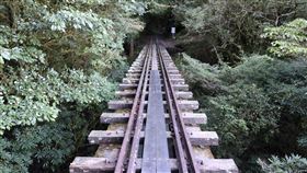 阿里山眠月線。（圖／詹婷惠攝影）