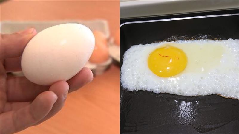 打雞蛋驚見有「血絲」　知情人揭真相