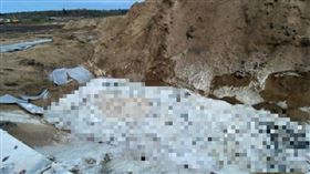 因為掩埋不夠深，大量水貂屍體被沼氣推上地面，形成駭人景象。（圖／翻攝自Anders Davidsen推特）