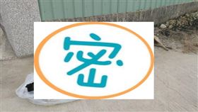 高雄,流浪狗,毒死,肉包,大樹