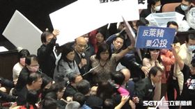 記者林恩如攝影 蘇貞昌 立法院 