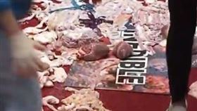 立法院 推擠 蘇貞昌 國民黨 丟 內臟 