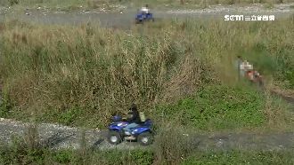 白額雁花蓮過冬　濕地保育區卻見飆沙