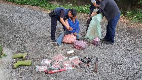 男子台東盜採牛樟菇遭逮