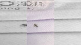 口罩,國家隊,淨新,蟲,高雄,衛生局