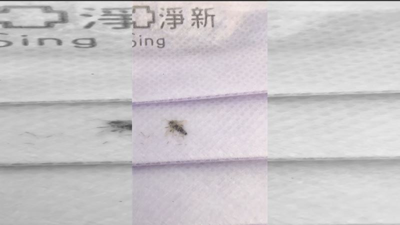 國家隊口罩蟲入侵？11秒影片網呼噁