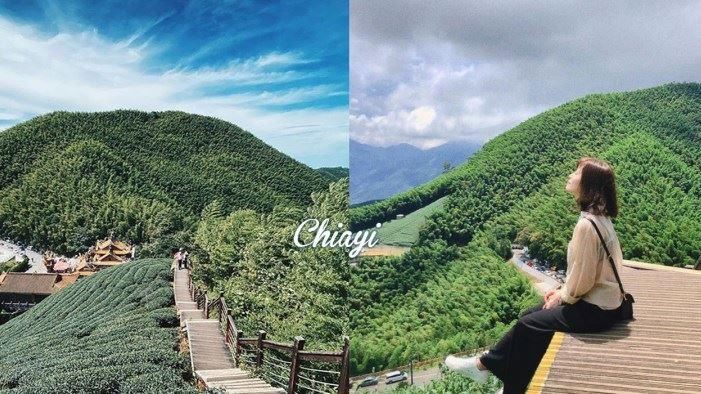 親民版抹茶山！10分鐘攻頂欣賞美景