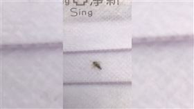 口罩,蟲屍,環境衛生