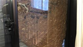 阿公家5年沒開窗！落地式蜂窩牆嚇壞孫（圖／翻攝自關洸司朗推特）