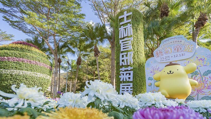 2020士林官邸菊展正式登場！