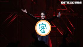 戴愛玲/記者楊澍攝影