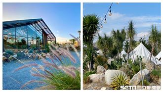 多肉控必來拍爆！苗栗超豪華森林露營