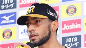 ▲Robert Suarez今年是阪神虎終結者。（資料照／美聯社／達志影像）