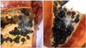 木瓜切開好像「盤絲洞」！她震驚問：能吃嗎　網曝恐怖下場（圖／翻攝自爆系知識家）