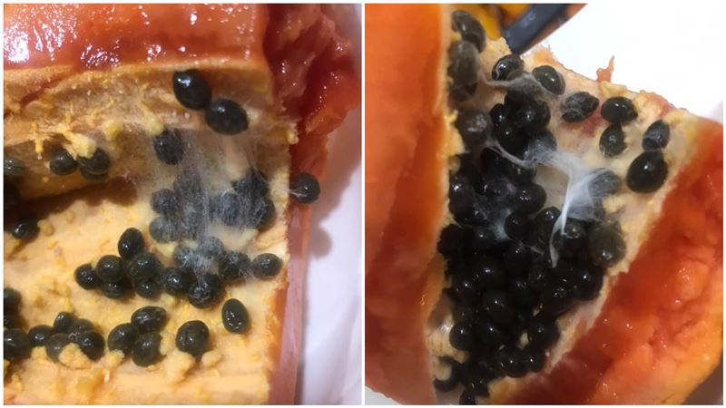 木瓜切開像「盤絲洞」網驚喊：別吃！