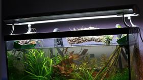 魚缸
https://www.flickr.com/photos/threefingers/3339768572/in/photolist-L6y9Vh-HS1LjF-26hpUtf-475K7w-9sCH9W-668bQL-5vWFhP-xHGGP1-y1Zfv4-x4ikvh-xY15gs-daPEj4-r47Khg-9sHord-L6y1uE-batHBa-ekek7q-qLEj5z-8vf