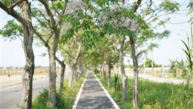 騎亮臺灣─最讚亮點自行車路線，嘉義縣朴子溪自行車道 圖/翻攝自騎亮台灣官網