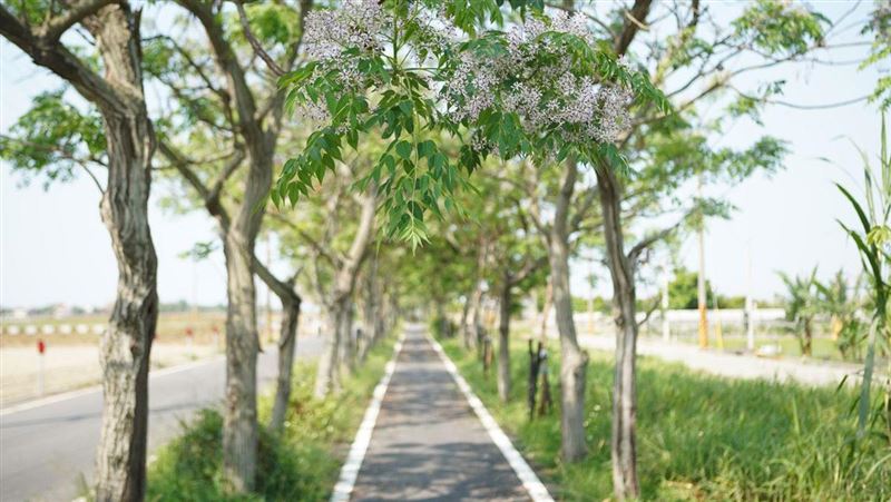 嘉義絕美自行車道　爆紅台劇也來取景