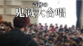 ヌビア - Nubia【完全即興チェロ奏者】 授權