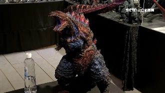 哥吉拉事件燒　律師：男性最後的尊嚴