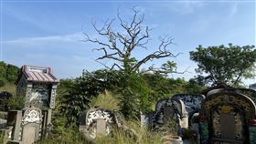 台南安平湯匙山從碉堡到公墓台南市安平區的湯匙山曾是荷蘭人建造用來守衛熱蘭遮城的「烏特勒支堡」所在地，也是台南地區歷史悠久的公墓之一。（台南市文資處提供）中央社記者楊思瑞台南傳真  109年11月29日