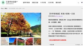 奧萬大　賞楓　忘憂草旅行社（圖／翻攝畫面）