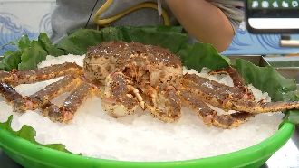 現撈、活體怎辨識？專家曝價差近一半