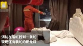 中國,江西,蛇,雨傘節,少女,性侵,咬死（圖／翻攝自微博）