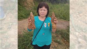 蔣月惠,未爆彈,石頭村,二戰遺跡