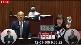 行政院長蘇貞昌，國民黨立委林奕華。（圖／翻攝立法院直播系統）