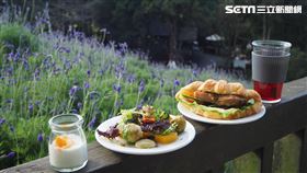 看照片就不行了！全台最強旅宿早餐出爐　必吃十大夢幻名單（圖／HotelsCombined提供）