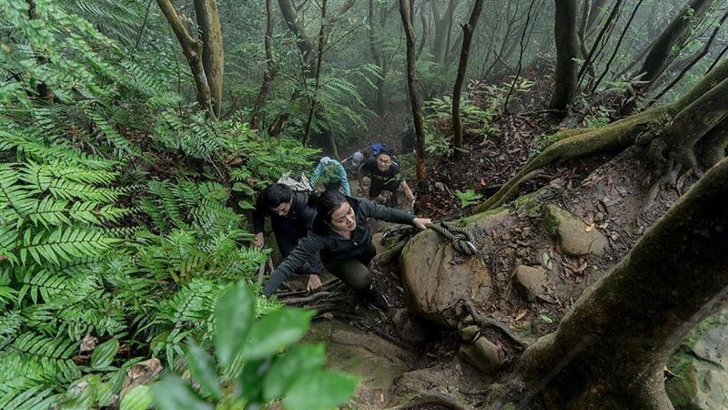 台灣百岳登山養成計畫：成為山系人！