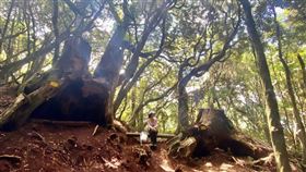 （圖／Tripbaa趣吧！達人帶路）