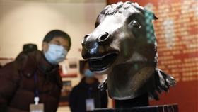 圓明園展出馬首中國國家文物局、北京市政府今天在圓明園正覺寺舉行「圓明園馬首銅像劃撥入藏儀式」。英法聯軍後失散的十二生肖之「馬首」銅像，成為首件回歸圓明園的文物。（中新社提供）中央社  109年12月1日