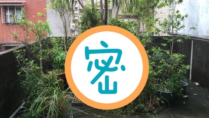 盆栽變成「一樓高巨物」屋頂撐不住